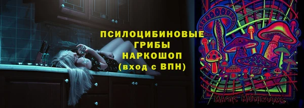 амф Алексеевка