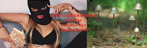 трава Пересвет