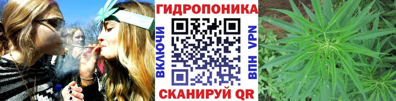 Шишки марихуана MAZAR Прохладный